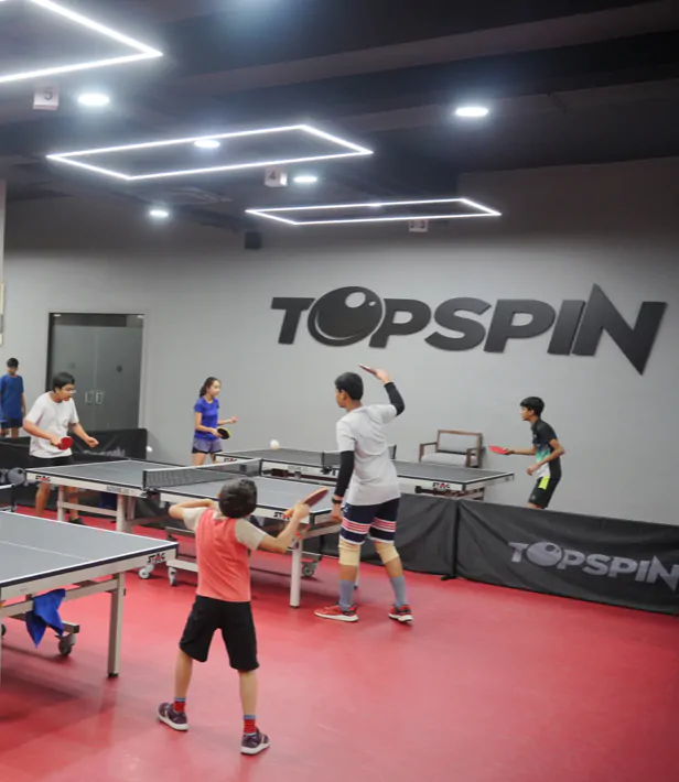 TopSpin Academy